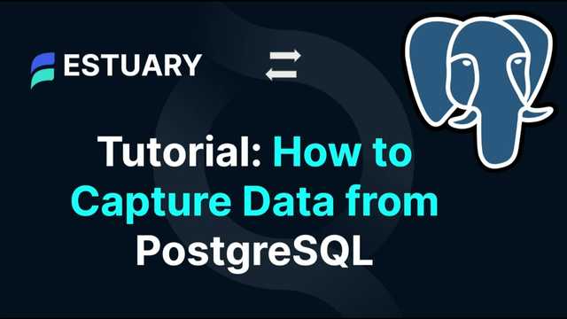 PostgreSQL Data Capture Step-by-Step Tutorial thumbnail