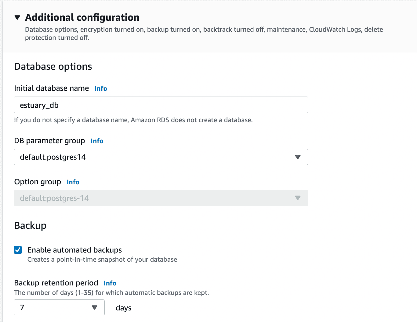 Configure an AWS RDS for the Postgres Instance - Additional Configuration - Database Options